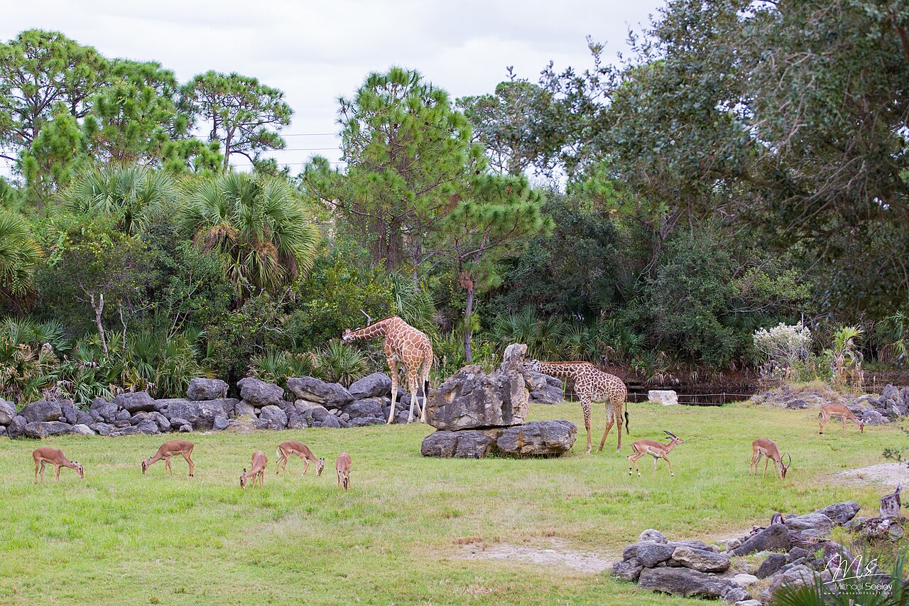 The Brevard Zoo in Viera β Viera, FL